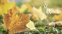 【節(jié)氣養(yǎng)生】甲辰立秋，“2做”、“2不做”，護(hù)好我們身體的正氣，預(yù)防外邪的侵襲！